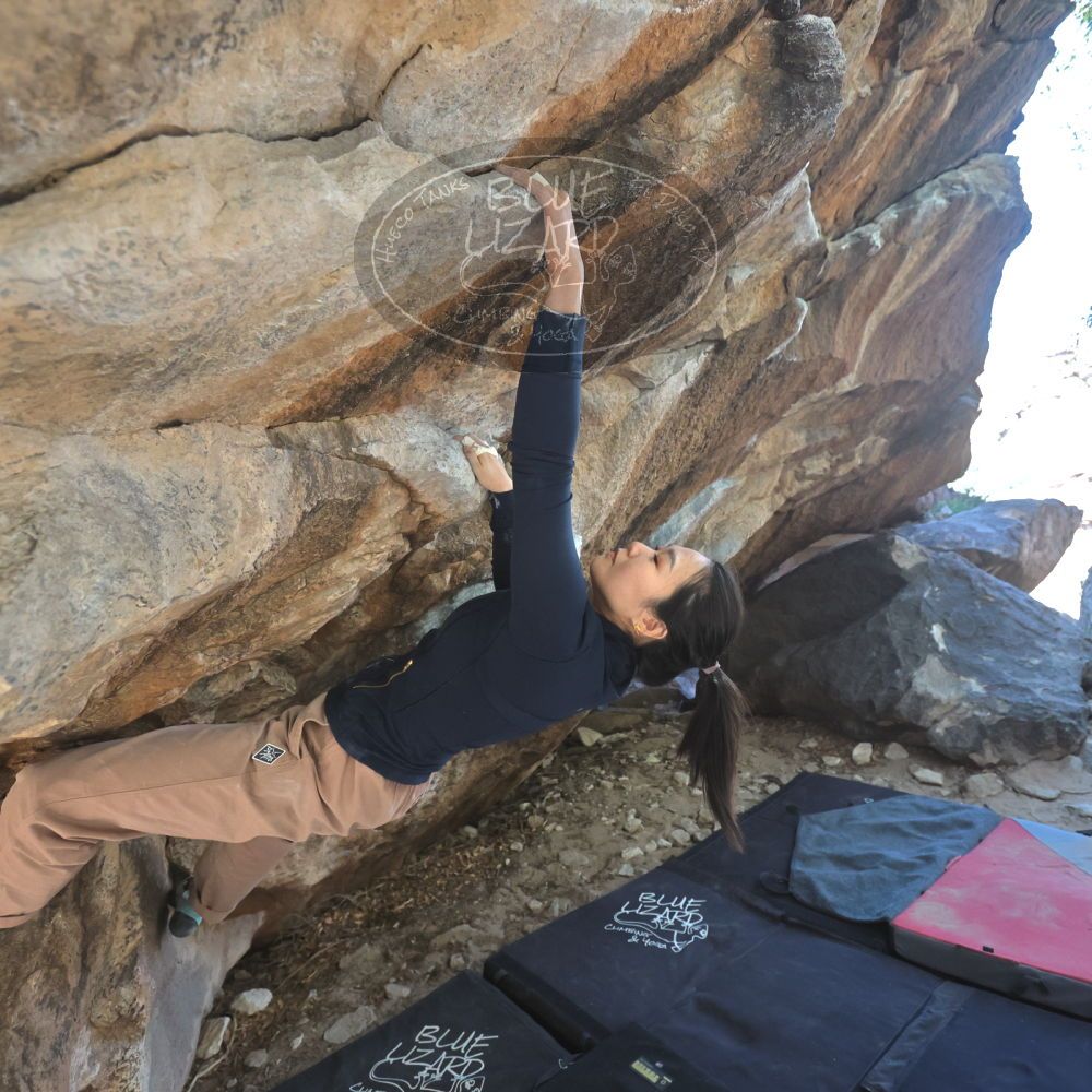 

Filename: SRM_20251109_1237280.jpg
Aperture: f/4.0
Shutter Speed: 1/1250
Body: Canon EOS R6
Lens: Canon EF 16-35mm f/2.8 L