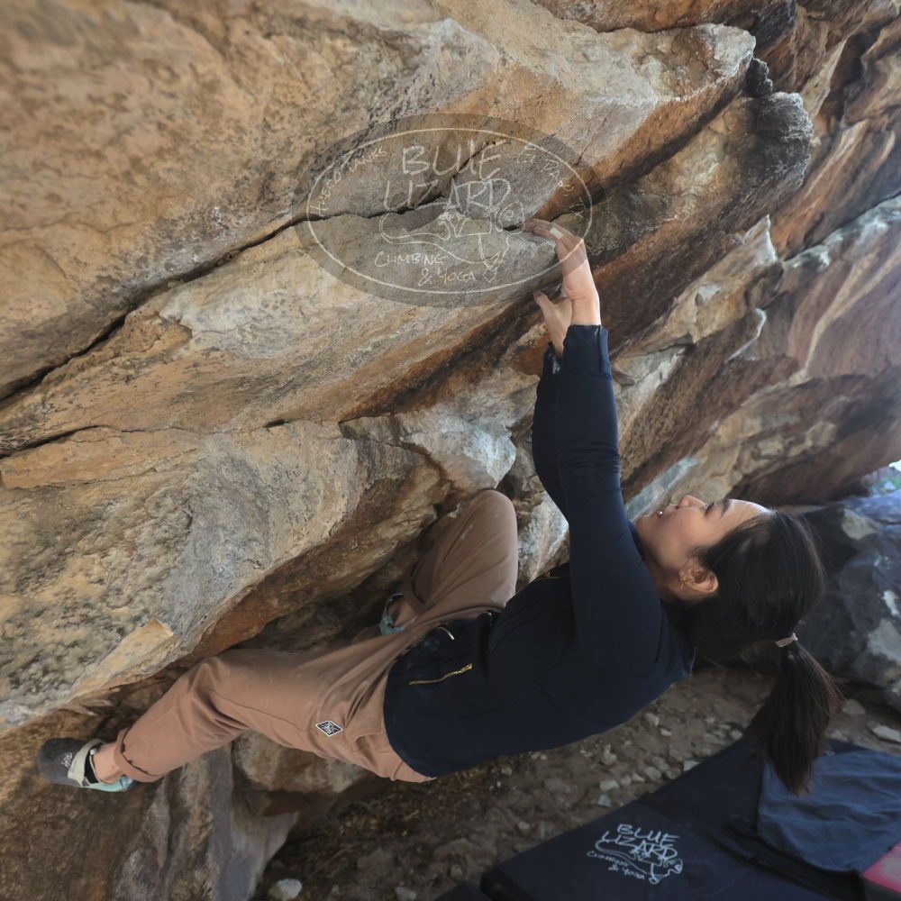 

Filename: SRM_20251109_1237310.jpg
Aperture: f/4.0
Shutter Speed: 1/1250
Body: Canon EOS R6
Lens: Canon EF 16-35mm f/2.8 L