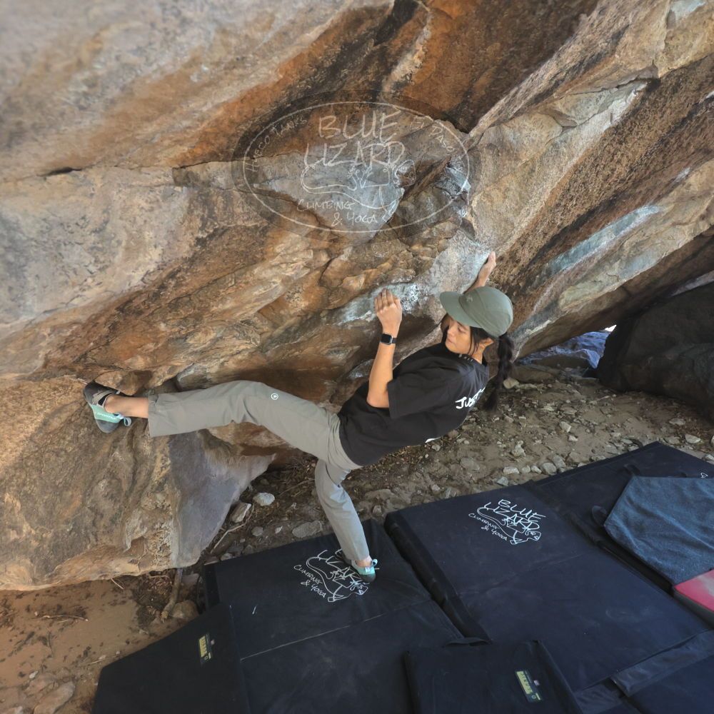 

Filename: SRM_20251109_1244140.jpg
Aperture: f/4.0
Shutter Speed: 1/1250
Body: Canon EOS R6
Lens: Canon EF 16-35mm f/2.8 L