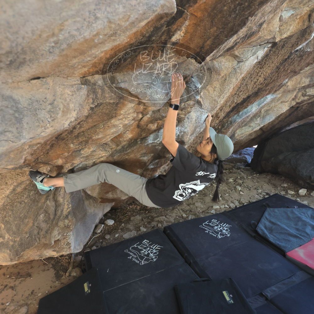 

Filename: SRM_20251109_1244180.jpg
Aperture: f/4.0
Shutter Speed: 1/1250
Body: Canon EOS R6
Lens: Canon EF 16-35mm f/2.8 L