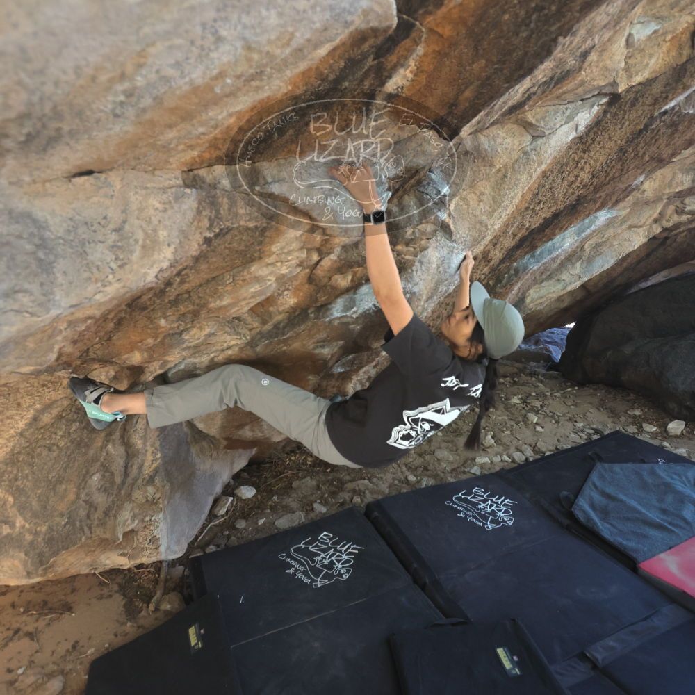 

Filename: SRM_20251109_1244181.jpg
Aperture: f/4.0
Shutter Speed: 1/1250
Body: Canon EOS R6
Lens: Canon EF 16-35mm f/2.8 L