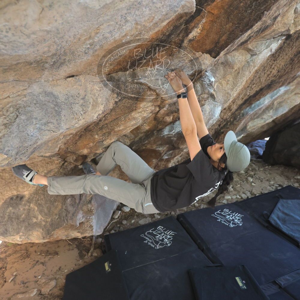 

Filename: SRM_20251109_1244220.jpg
Aperture: f/4.0
Shutter Speed: 1/1250
Body: Canon EOS R6
Lens: Canon EF 16-35mm f/2.8 L