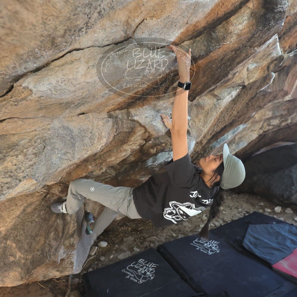 

Filename: SRM_20251109_1244260.jpg
Aperture: f/4.0
Shutter Speed: 1/1250
Body: Canon EOS R6
Lens: Canon EF 16-35mm f/2.8 L