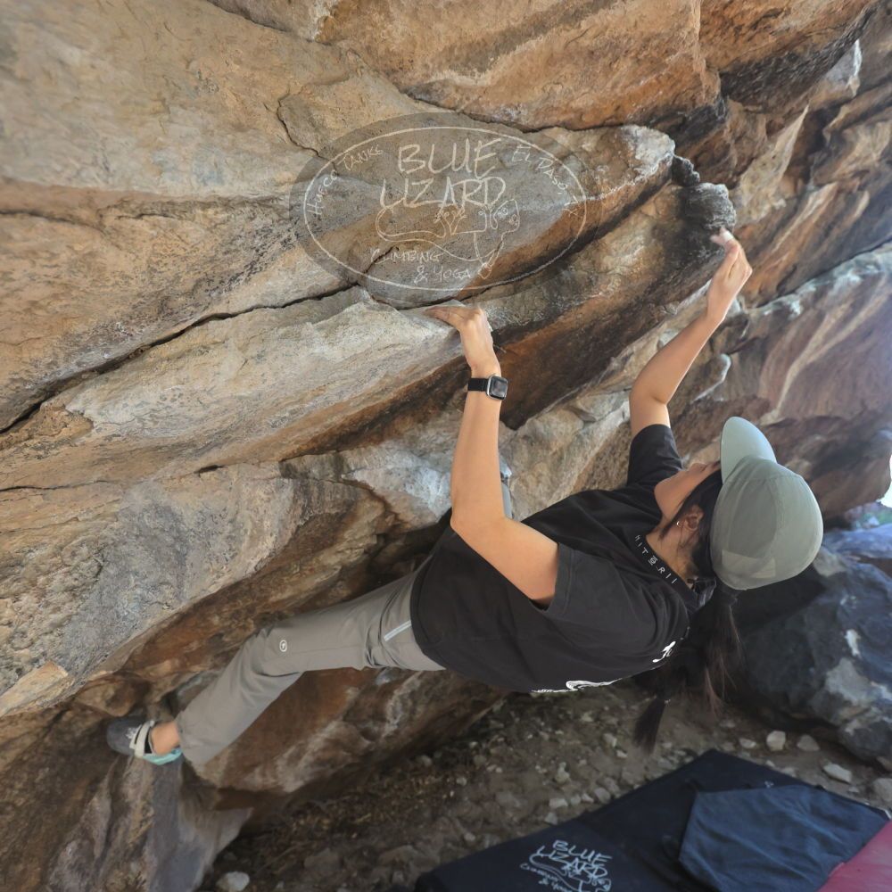 

Filename: SRM_20251109_1244300.jpg
Aperture: f/4.0
Shutter Speed: 1/1250
Body: Canon EOS R6
Lens: Canon EF 16-35mm f/2.8 L