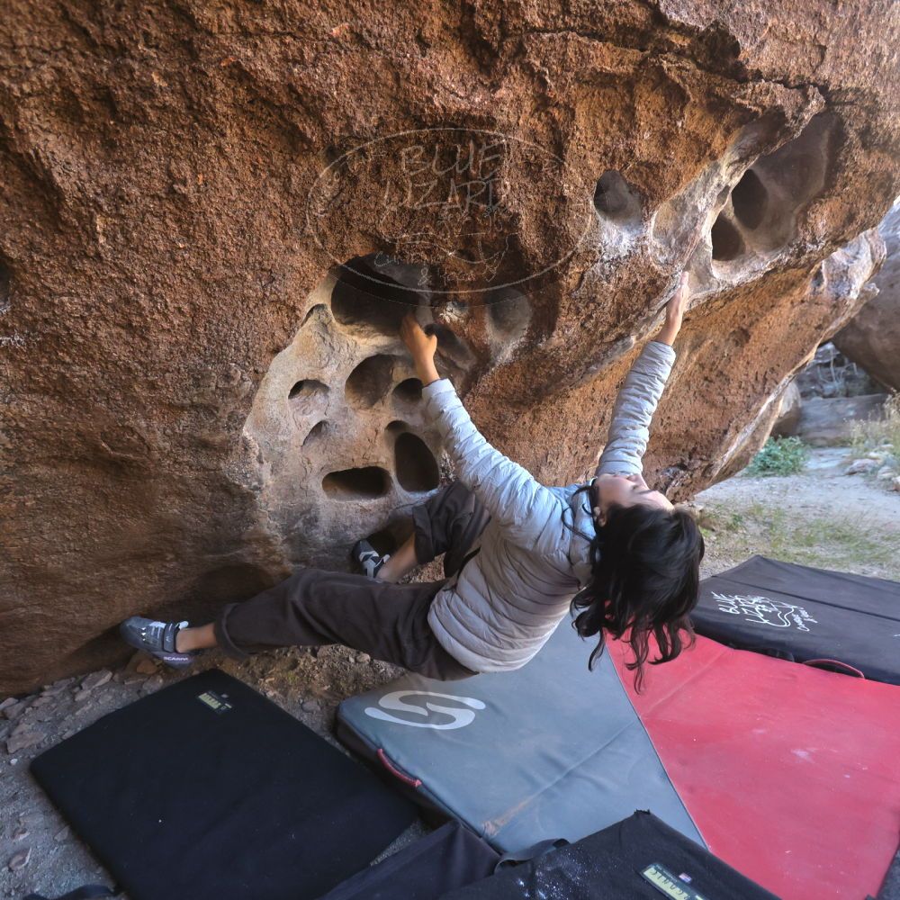 

Filename: SRM_20251109_1334450.jpg
Aperture: f/4.0
Shutter Speed: 1/1250
Body: Canon EOS R6
Lens: Canon EF 16-35mm f/2.8 L