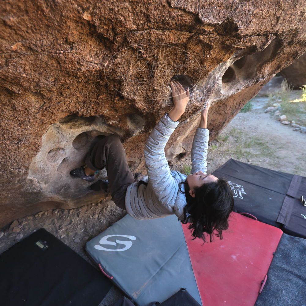 

Filename: SRM_20251109_1334500.jpg
Aperture: f/4.0
Shutter Speed: 1/1250
Body: Canon EOS R6
Lens: Canon EF 16-35mm f/2.8 L