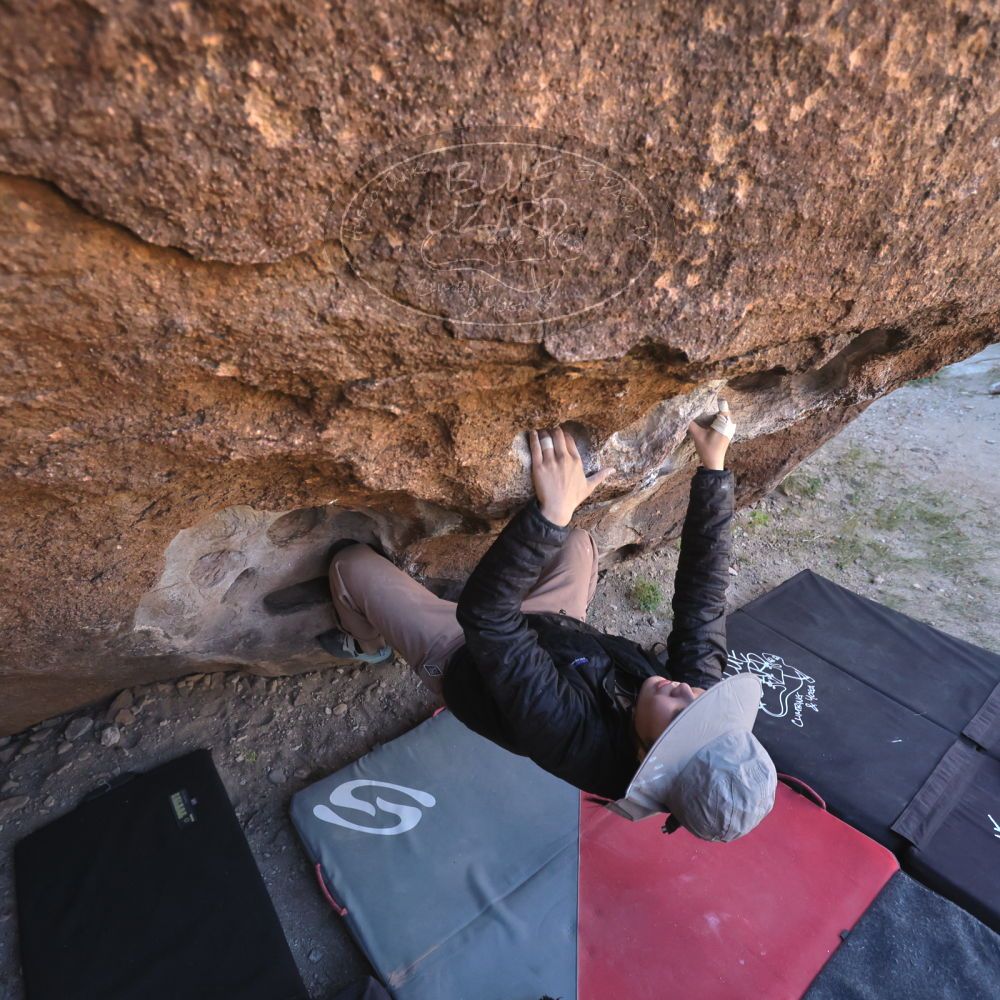 

Filename: SRM_20251109_1335450.jpg
Aperture: f/4.0
Shutter Speed: 1/1250
Body: Canon EOS R6
Lens: Canon EF 16-35mm f/2.8 L