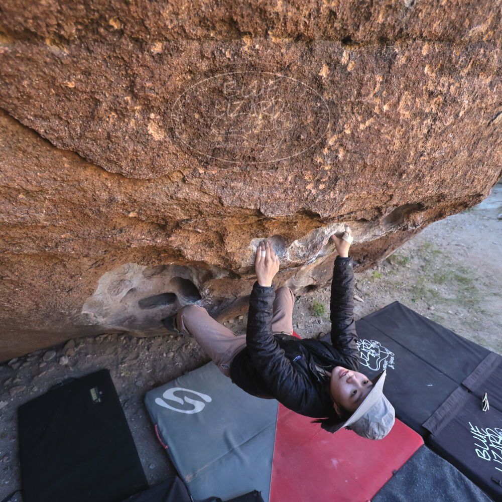 

Filename: SRM_20251109_1335460.jpg
Aperture: f/4.0
Shutter Speed: 1/1250
Body: Canon EOS R6
Lens: Canon EF 16-35mm f/2.8 L