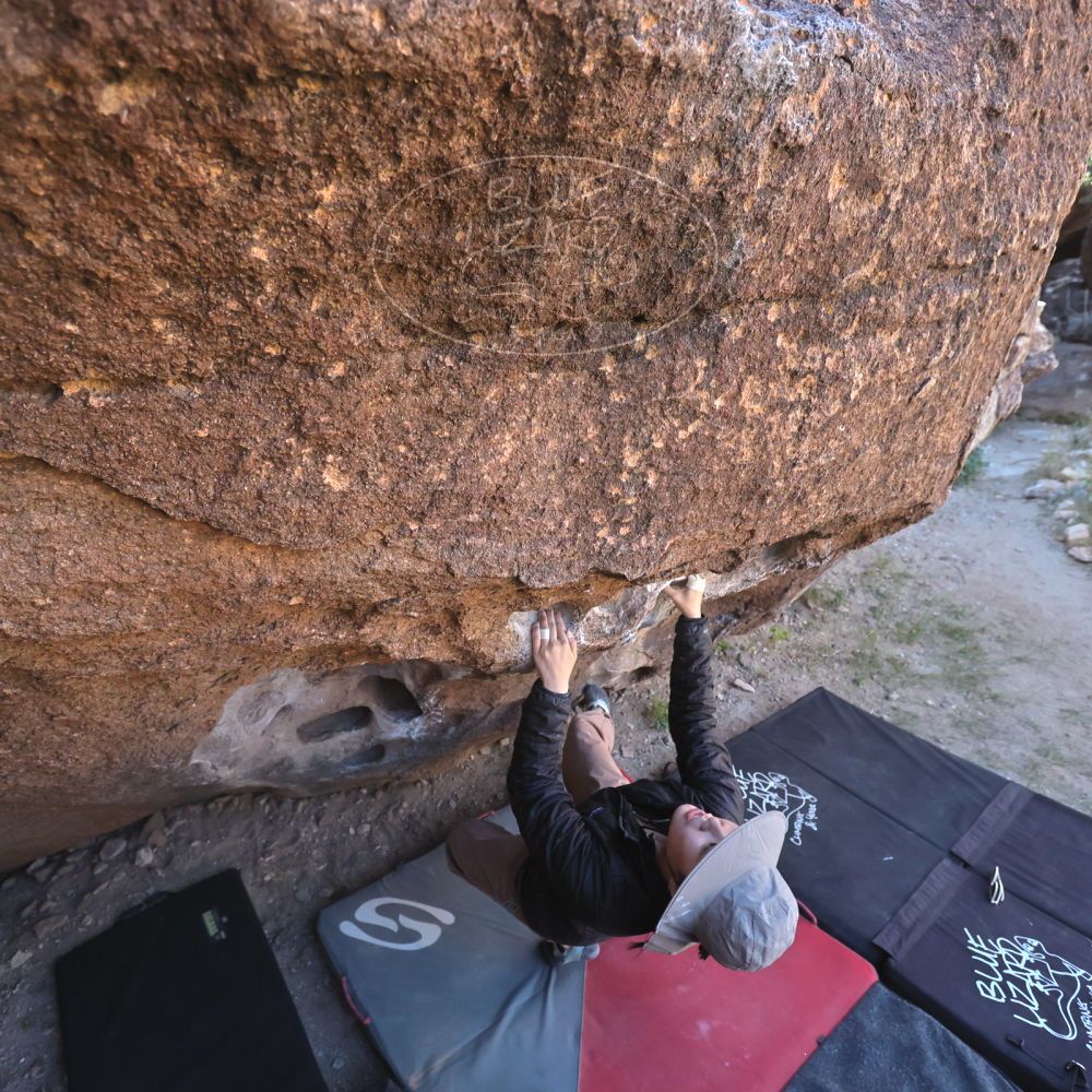 

Filename: SRM_20251109_1335490.jpg
Aperture: f/4.0
Shutter Speed: 1/1250
Body: Canon EOS R6
Lens: Canon EF 16-35mm f/2.8 L