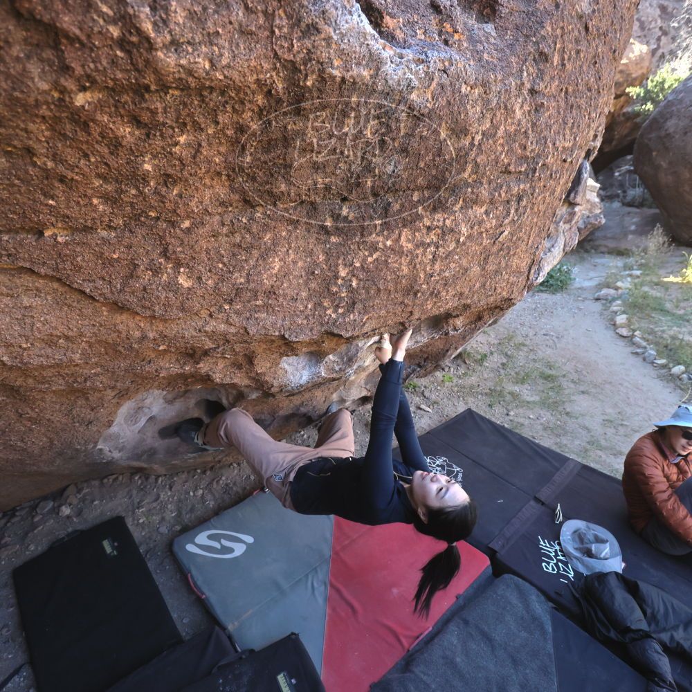 

Filename: SRM_20251109_1337210.jpg
Aperture: f/4.0
Shutter Speed: 1/1250
Body: Canon EOS R6
Lens: Canon EF 16-35mm f/2.8 L