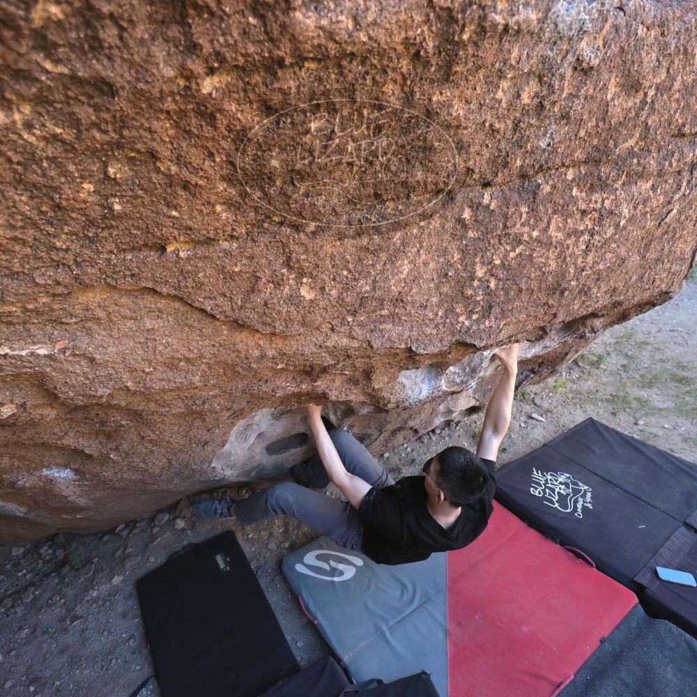 

Filename: SRM_20251109_1339050.jpg
Aperture: f/4.0
Shutter Speed: 1/1250
Body: Canon EOS R6
Lens: Canon EF 16-35mm f/2.8 L