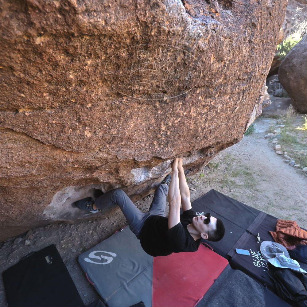 

Filename: SRM_20251109_1339130.jpg
Aperture: f/4.0
Shutter Speed: 1/1250
Body: Canon EOS R6
Lens: Canon EF 16-35mm f/2.8 L