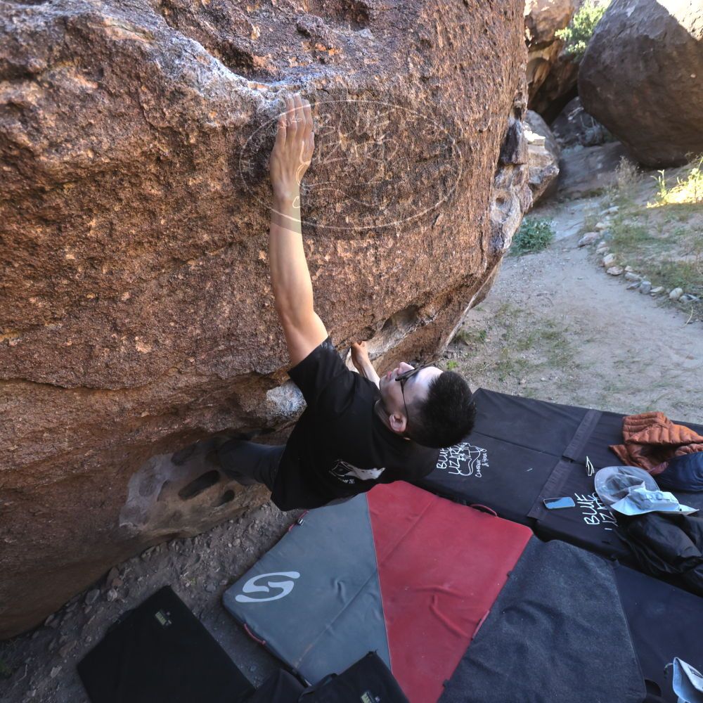 

Filename: SRM_20251109_1339540.jpg
Aperture: f/4.0
Shutter Speed: 1/1250
Body: Canon EOS R6
Lens: Canon EF 16-35mm f/2.8 L