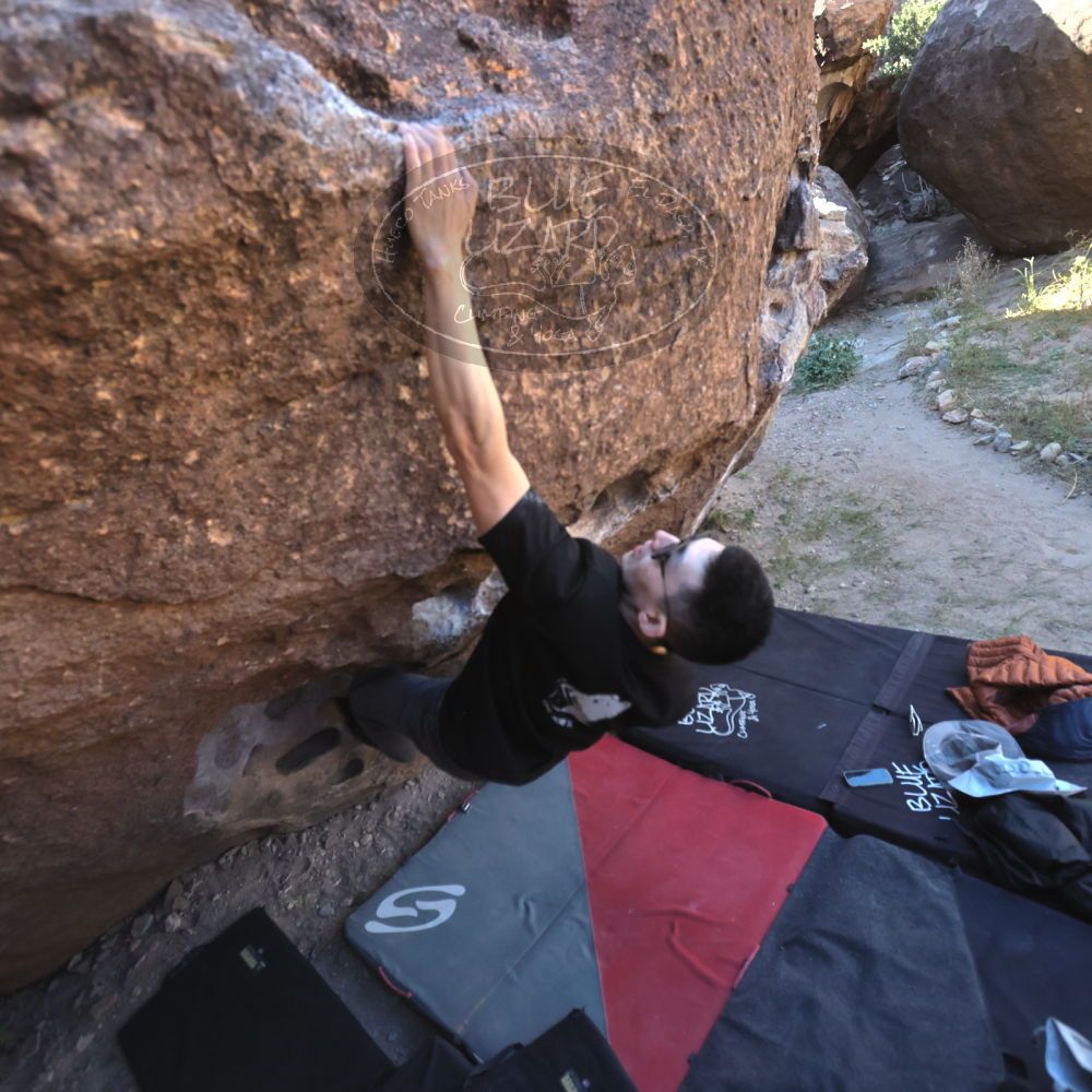 

Filename: SRM_20251109_1339541.jpg
Aperture: f/4.0
Shutter Speed: 1/1250
Body: Canon EOS R6
Lens: Canon EF 16-35mm f/2.8 L