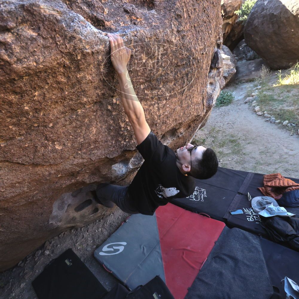 

Filename: SRM_20251109_1339542.jpg
Aperture: f/4.0
Shutter Speed: 1/1250
Body: Canon EOS R6
Lens: Canon EF 16-35mm f/2.8 L