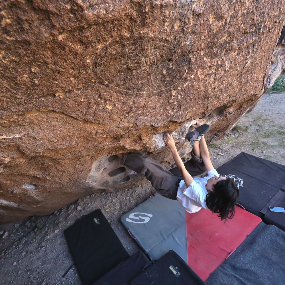 

Filename: SRM_20251109_1341460.jpg
Aperture: f/4.0
Shutter Speed: 1/1250
Body: Canon EOS R6
Lens: Canon EF 16-35mm f/2.8 L