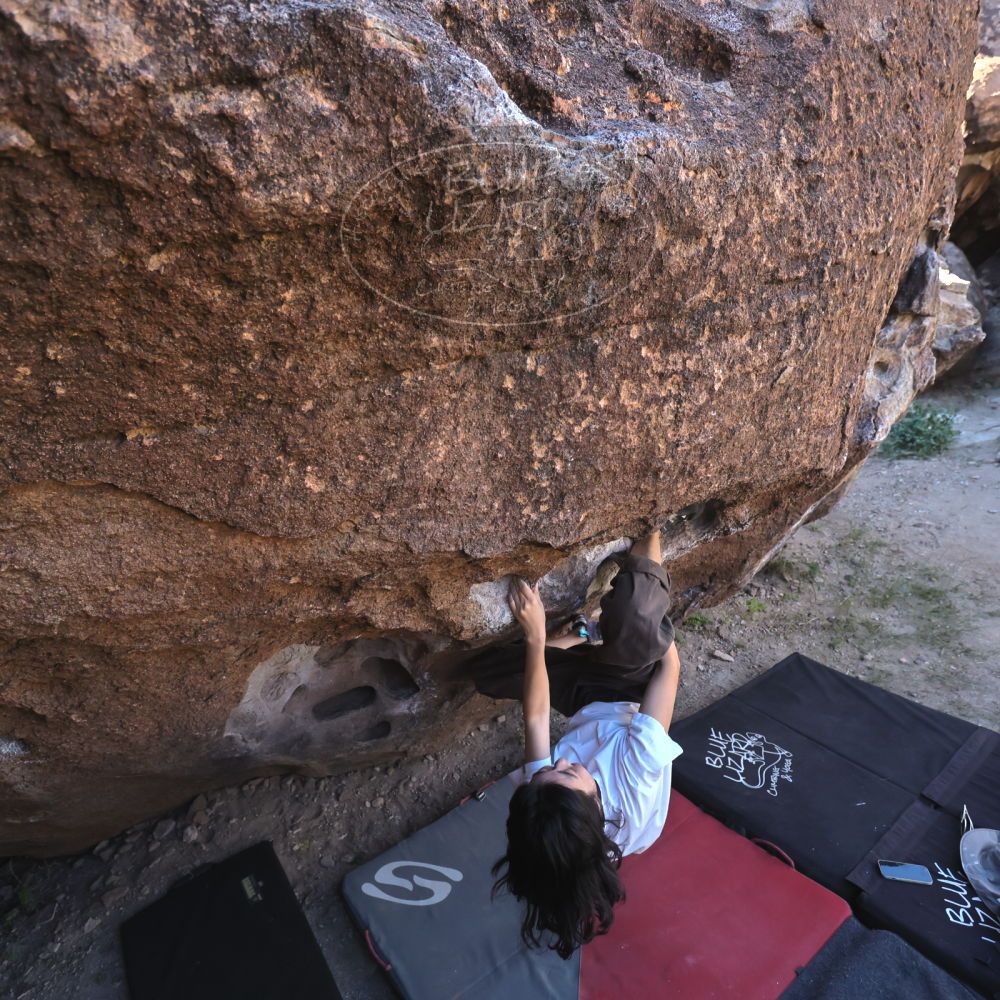 

Filename: SRM_20251109_1341500.jpg
Aperture: f/4.0
Shutter Speed: 1/1250
Body: Canon EOS R6
Lens: Canon EF 16-35mm f/2.8 L