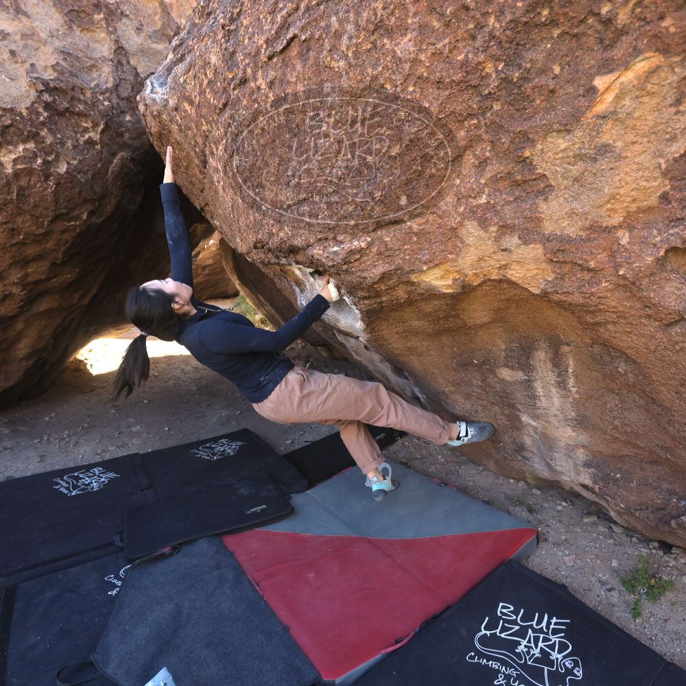 

Filename: SRM_20251109_1344190.jpg
Aperture: f/4.0
Shutter Speed: 1/1250
Body: Canon EOS R6
Lens: Canon EF 16-35mm f/2.8 L