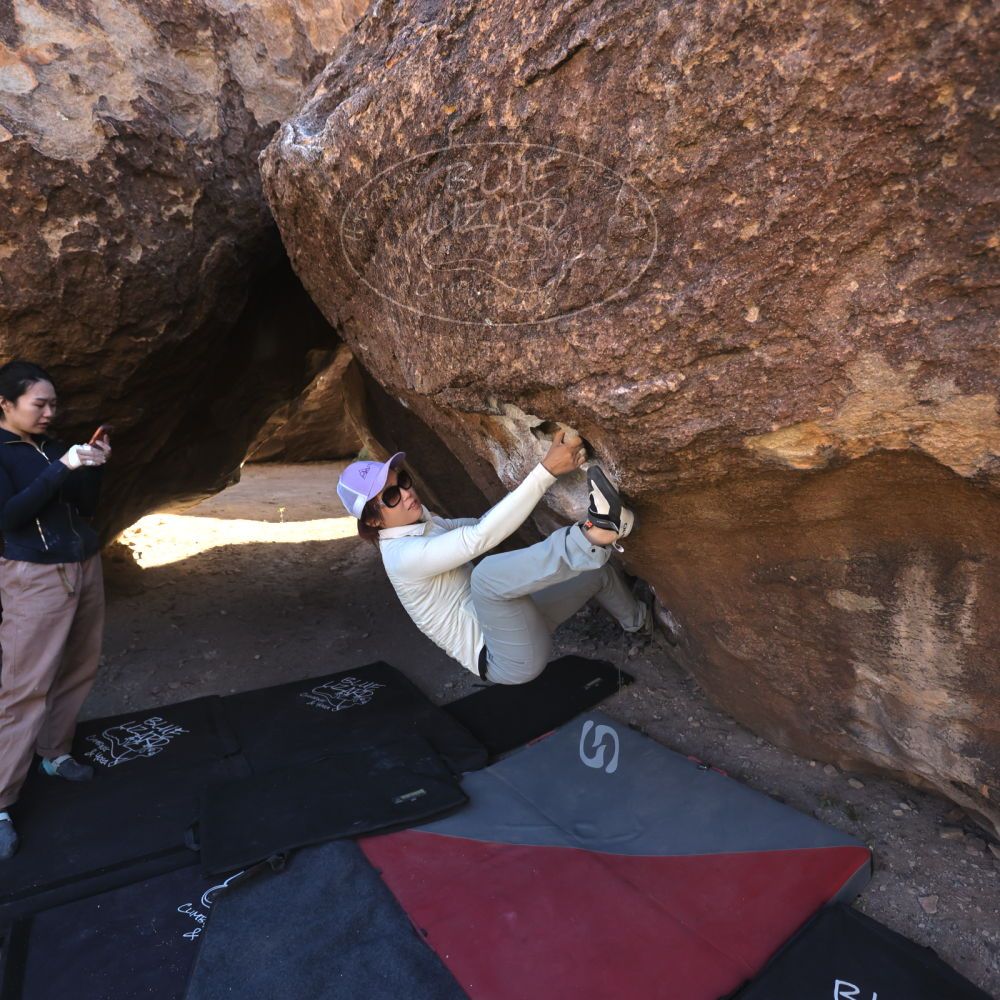 

Filename: SRM_20251109_1344340.jpg
Aperture: f/4.0
Shutter Speed: 1/1250
Body: Canon EOS R6
Lens: Canon EF 16-35mm f/2.8 L