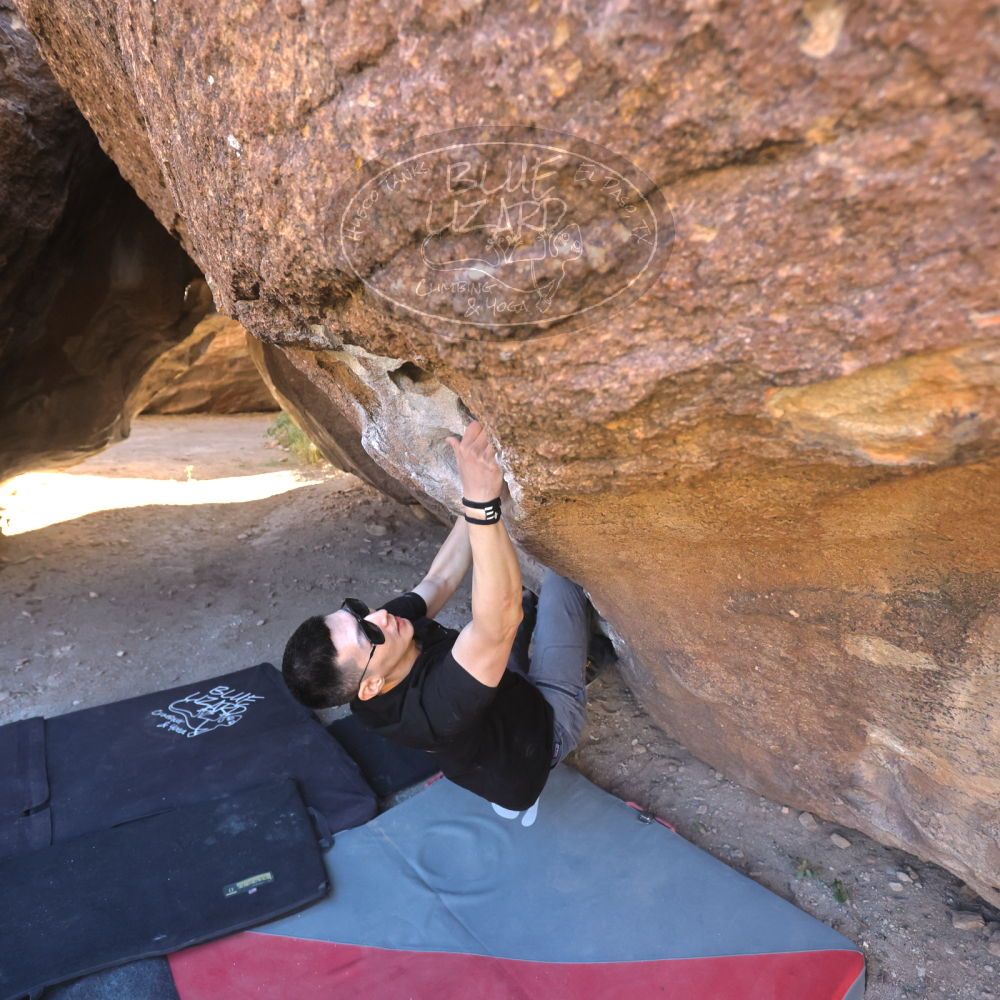 

Filename: SRM_20251109_1346500.jpg
Aperture: f/4.0
Shutter Speed: 1/1250
Body: Canon EOS R6
Lens: Canon EF 16-35mm f/2.8 L