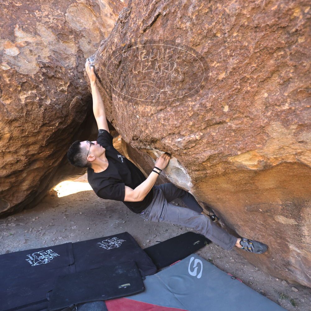 

Filename: SRM_20251109_1347021.jpg
Aperture: f/4.0
Shutter Speed: 1/1250
Body: Canon EOS R6
Lens: Canon EF 16-35mm f/2.8 L