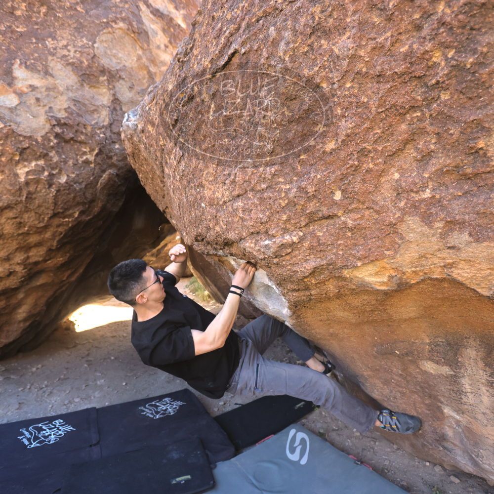 

Filename: SRM_20251109_1347030.jpg
Aperture: f/4.0
Shutter Speed: 1/1250
Body: Canon EOS R6
Lens: Canon EF 16-35mm f/2.8 L