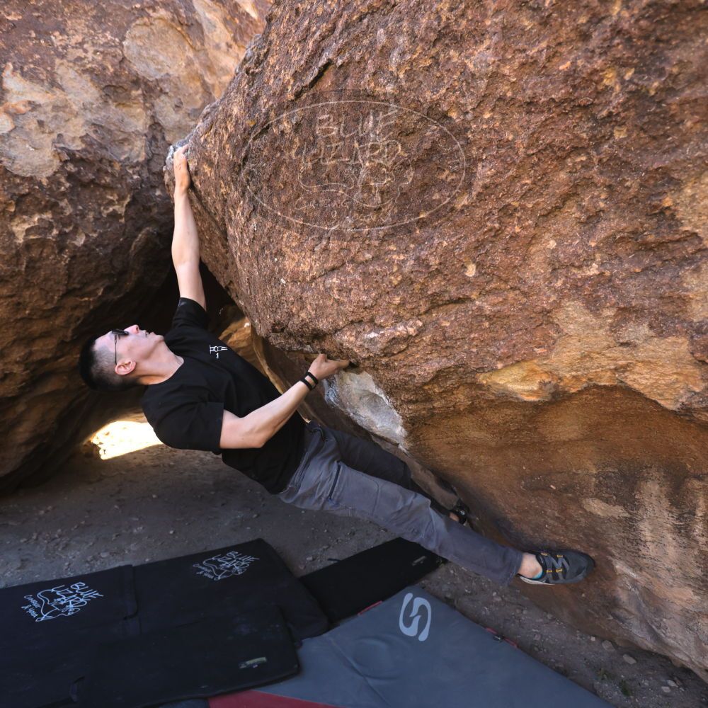 

Filename: SRM_20251109_1347110.jpg
Aperture: f/4.0
Shutter Speed: 1/1250
Body: Canon EOS R6
Lens: Canon EF 16-35mm f/2.8 L