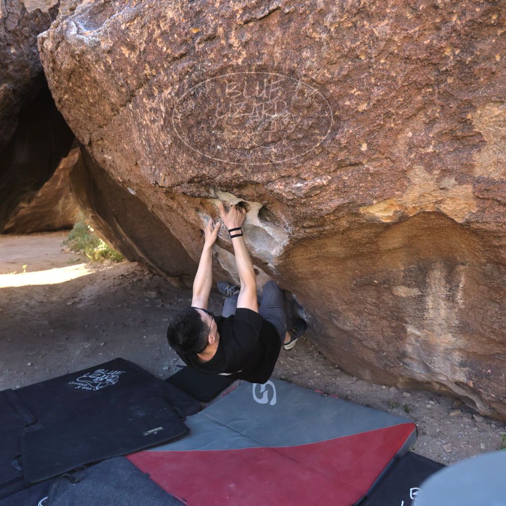 

Filename: SRM_20251109_1351460.jpg
Aperture: f/4.0
Shutter Speed: 1/1250
Body: Canon EOS R6
Lens: Canon EF 16-35mm f/2.8 L