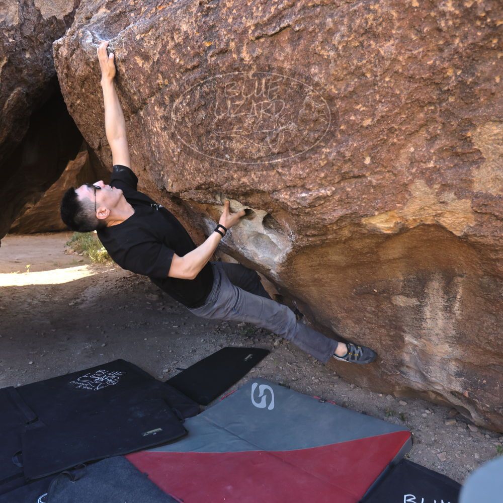 

Filename: SRM_20251109_1351530.jpg
Aperture: f/4.0
Shutter Speed: 1/1250
Body: Canon EOS R6
Lens: Canon EF 16-35mm f/2.8 L