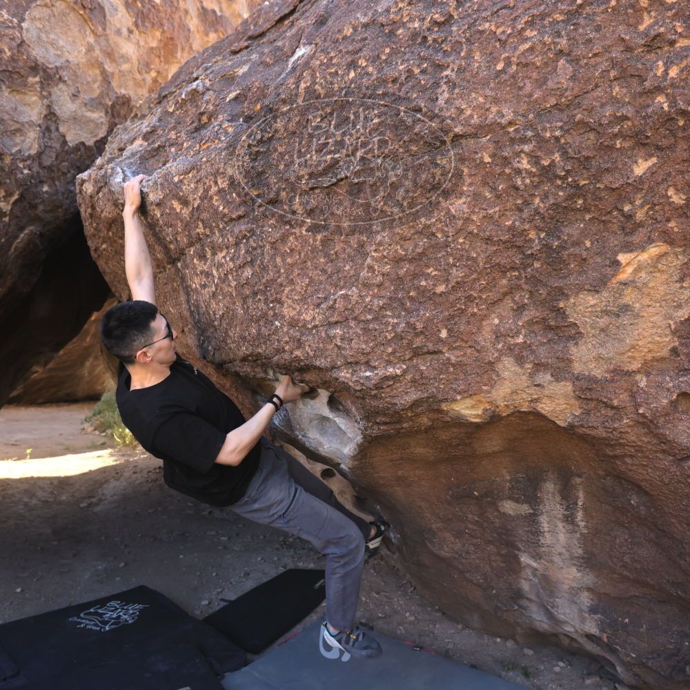 

Filename: SRM_20251109_1352100.jpg
Aperture: f/4.0
Shutter Speed: 1/1250
Body: Canon EOS R6
Lens: Canon EF 16-35mm f/2.8 L