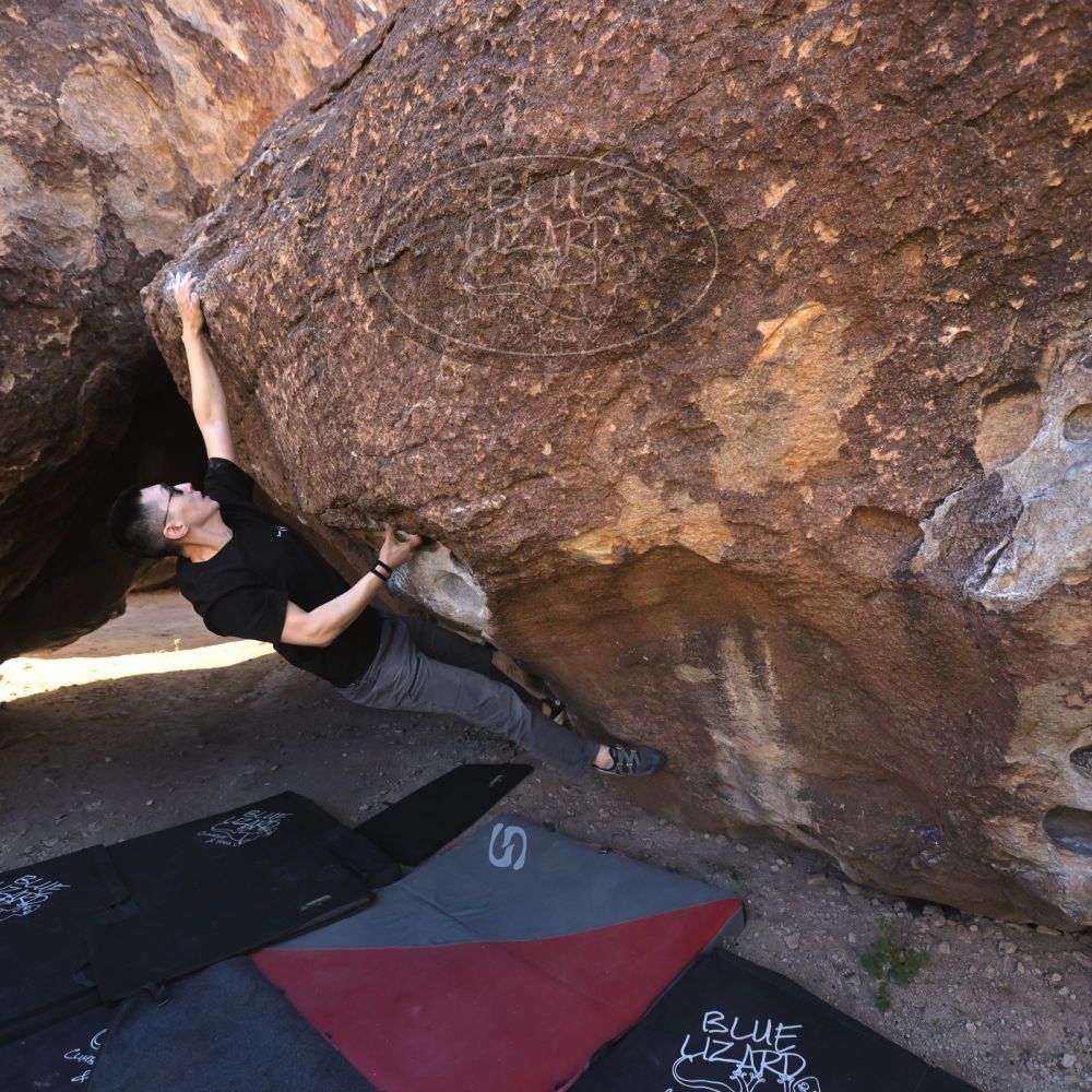 

Filename: SRM_20251109_1353410.jpg
Aperture: f/4.0
Shutter Speed: 1/1250
Body: Canon EOS R6
Lens: Canon EF 16-35mm f/2.8 L