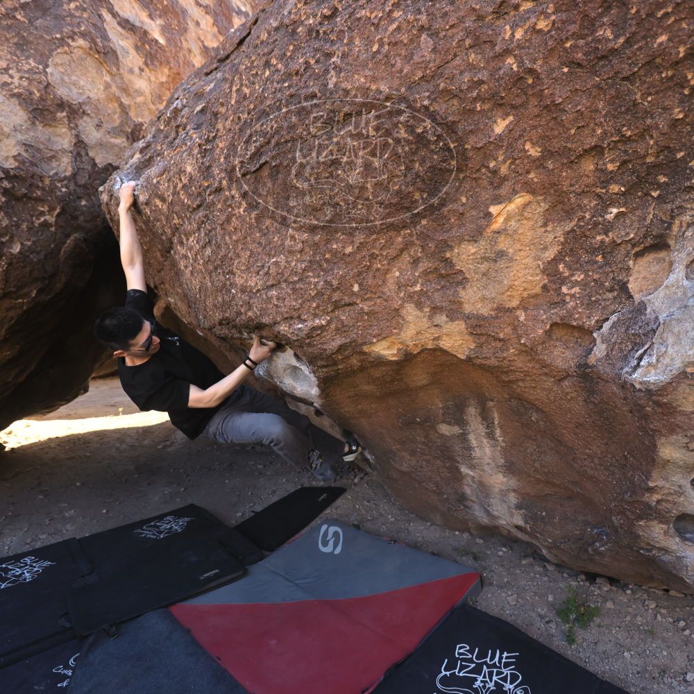 

Filename: SRM_20251109_1353420.jpg
Aperture: f/4.0
Shutter Speed: 1/1250
Body: Canon EOS R6
Lens: Canon EF 16-35mm f/2.8 L