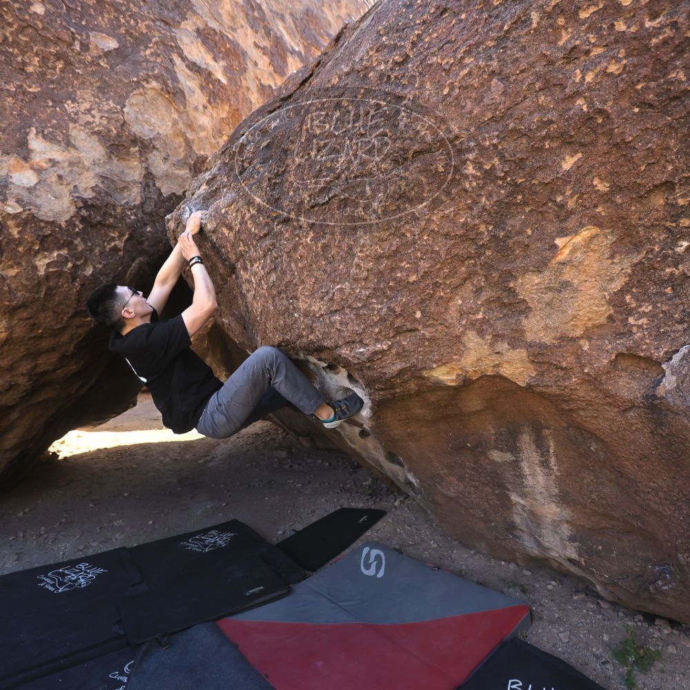 

Filename: SRM_20251109_1353440.jpg
Aperture: f/4.0
Shutter Speed: 1/1250
Body: Canon EOS R6
Lens: Canon EF 16-35mm f/2.8 L