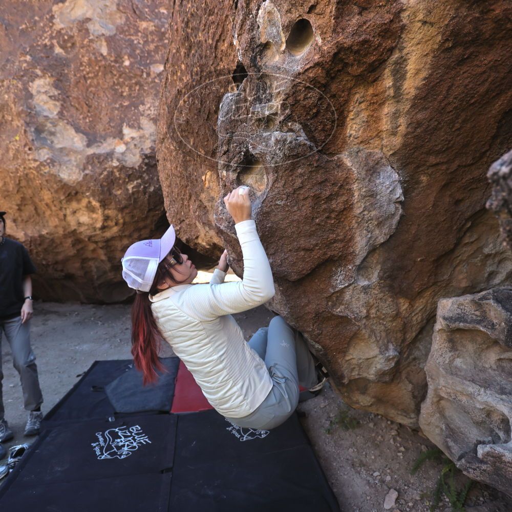 

Filename: SRM_20251109_1357330.jpg
Aperture: f/4.0
Shutter Speed: 1/1250
Body: Canon EOS R6
Lens: Canon EF 16-35mm f/2.8 L