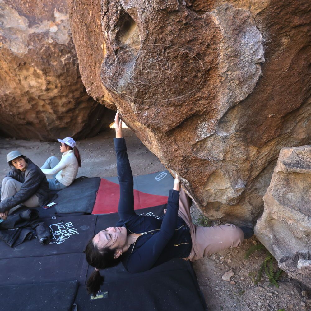 

Filename: SRM_20251109_1401450.jpg
Aperture: f/4.0
Shutter Speed: 1/1250
Body: Canon EOS R6
Lens: Canon EF 16-35mm f/2.8 L