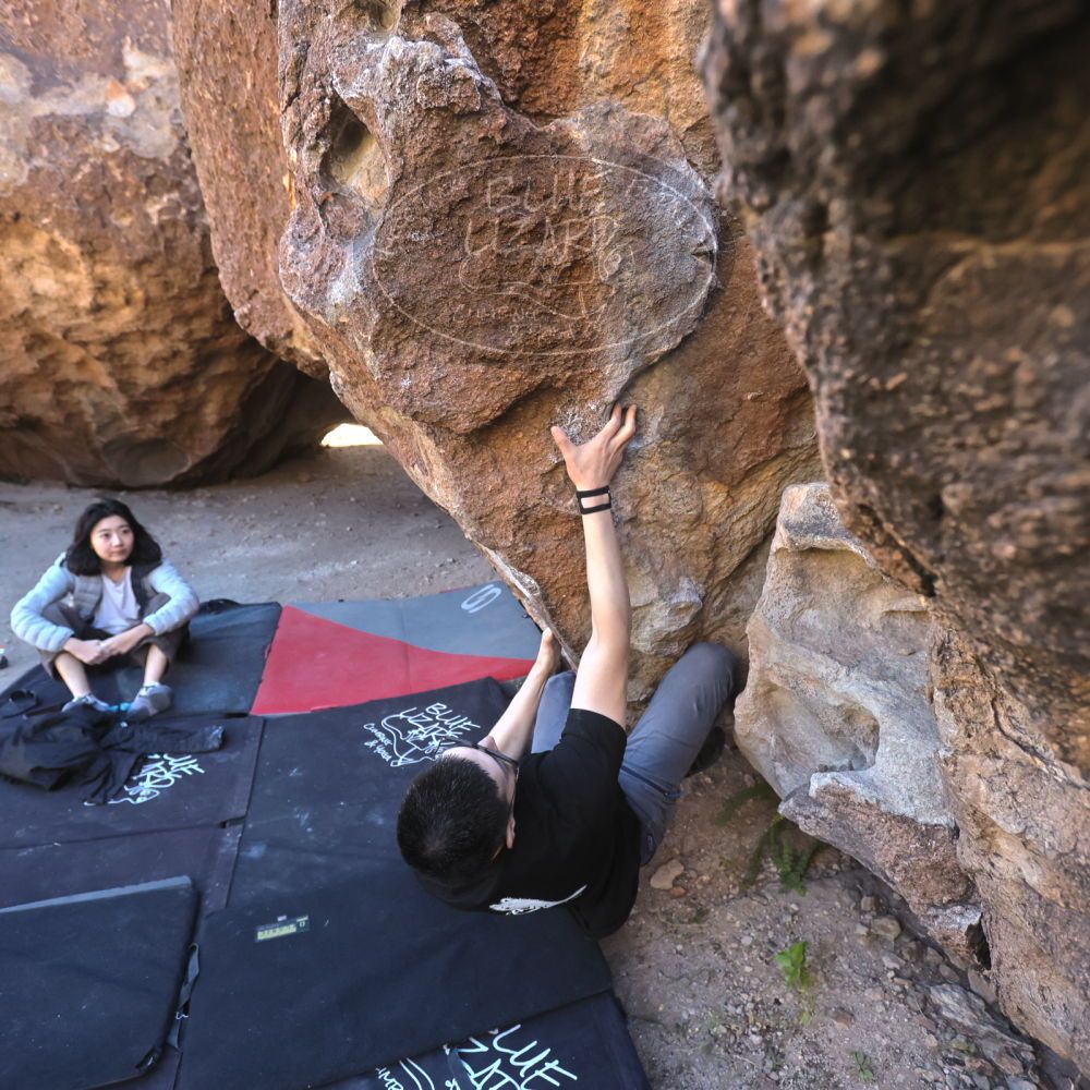 

Filename: SRM_20251109_1407430.jpg
Aperture: f/4.0
Shutter Speed: 1/1250
Body: Canon EOS R6
Lens: Canon EF 16-35mm f/2.8 L