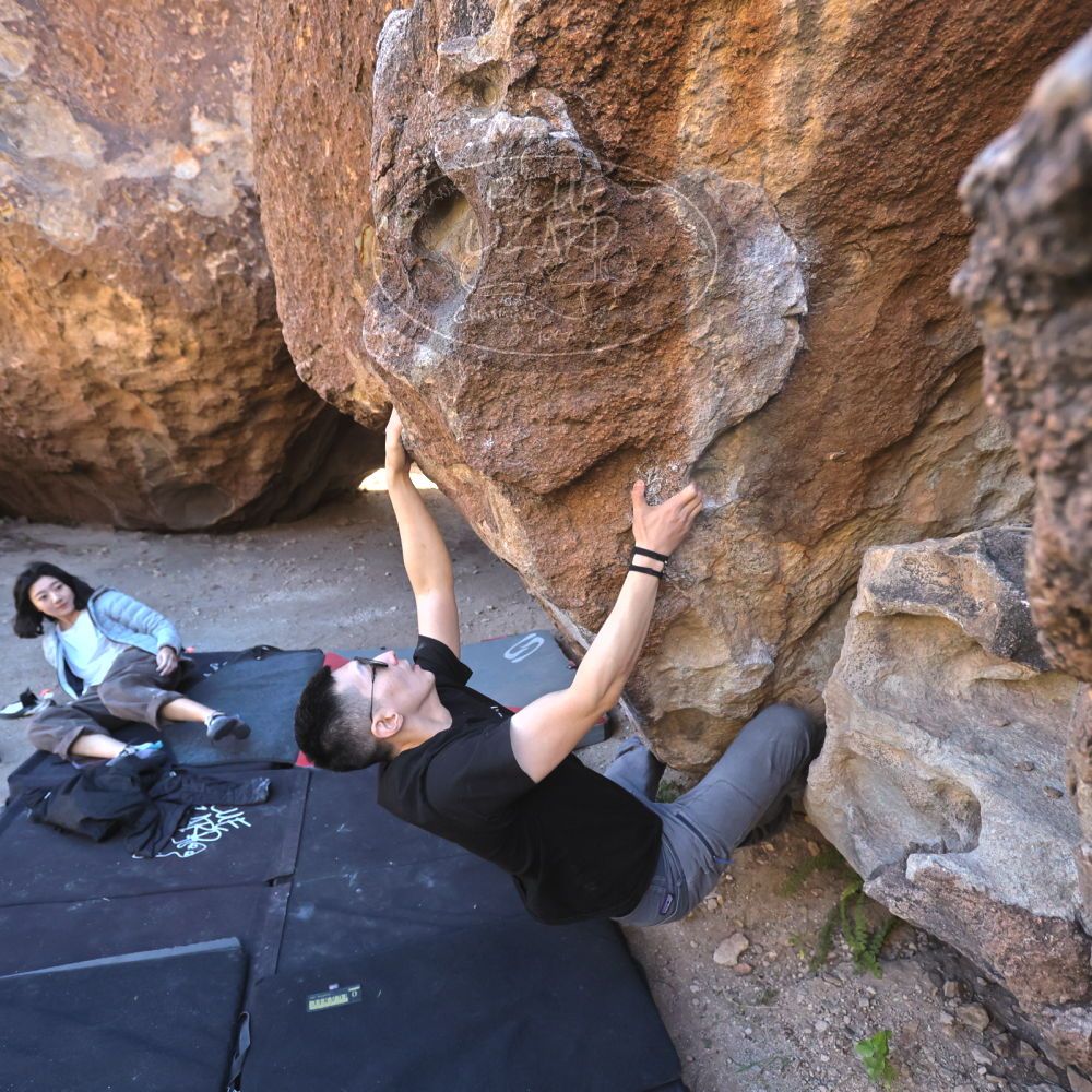 

Filename: SRM_20251109_1407450.jpg
Aperture: f/4.0
Shutter Speed: 1/1250
Body: Canon EOS R6
Lens: Canon EF 16-35mm f/2.8 L