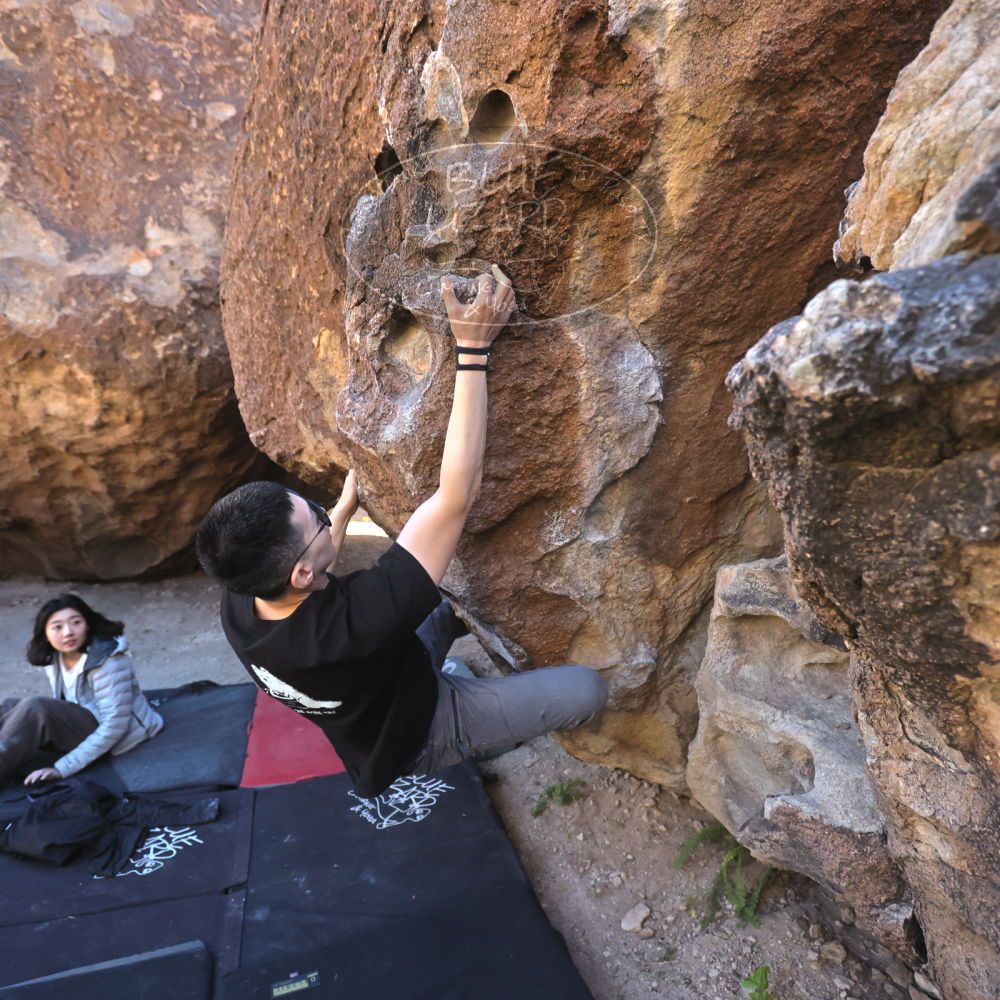 

Filename: SRM_20251109_1407500.jpg
Aperture: f/4.0
Shutter Speed: 1/1250
Body: Canon EOS R6
Lens: Canon EF 16-35mm f/2.8 L