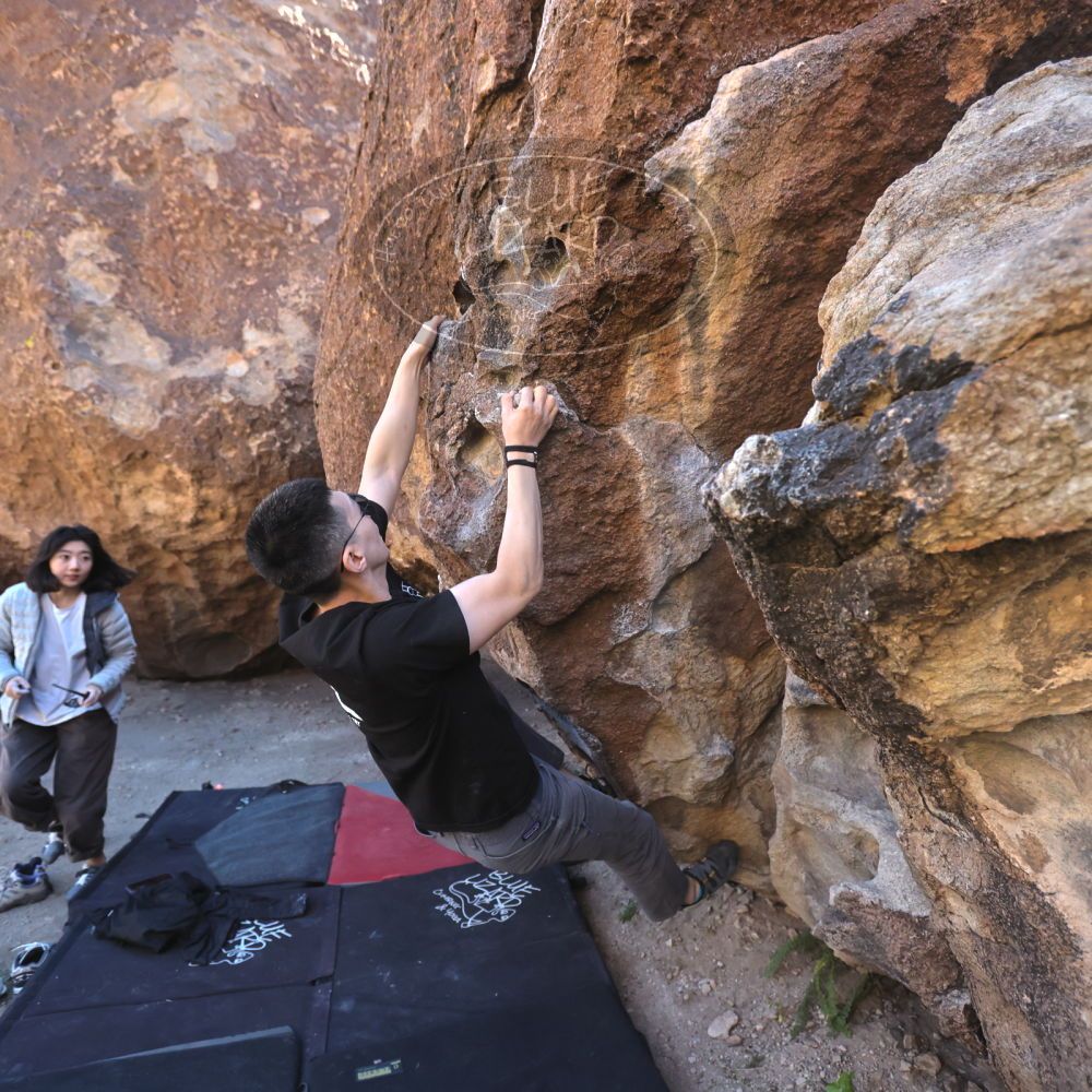 

Filename: SRM_20251109_1407530.jpg
Aperture: f/4.0
Shutter Speed: 1/1250
Body: Canon EOS R6
Lens: Canon EF 16-35mm f/2.8 L