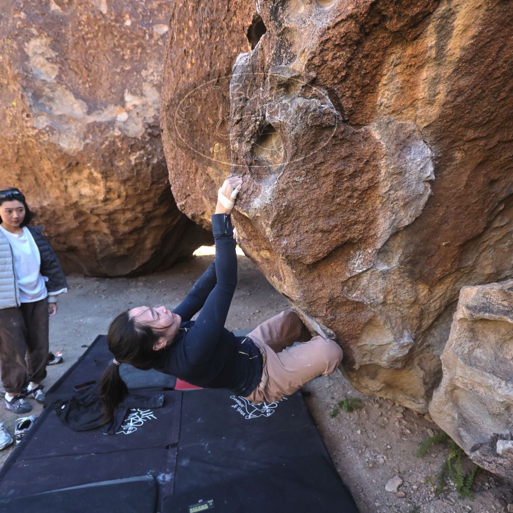 

Filename: SRM_20251109_1410150.jpg
Aperture: f/4.0
Shutter Speed: 1/1250
Body: Canon EOS R6
Lens: Canon EF 16-35mm f/2.8 L