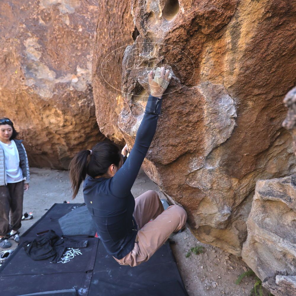 

Filename: SRM_20251109_1410200.jpg
Aperture: f/4.0
Shutter Speed: 1/1250
Body: Canon EOS R6
Lens: Canon EF 16-35mm f/2.8 L