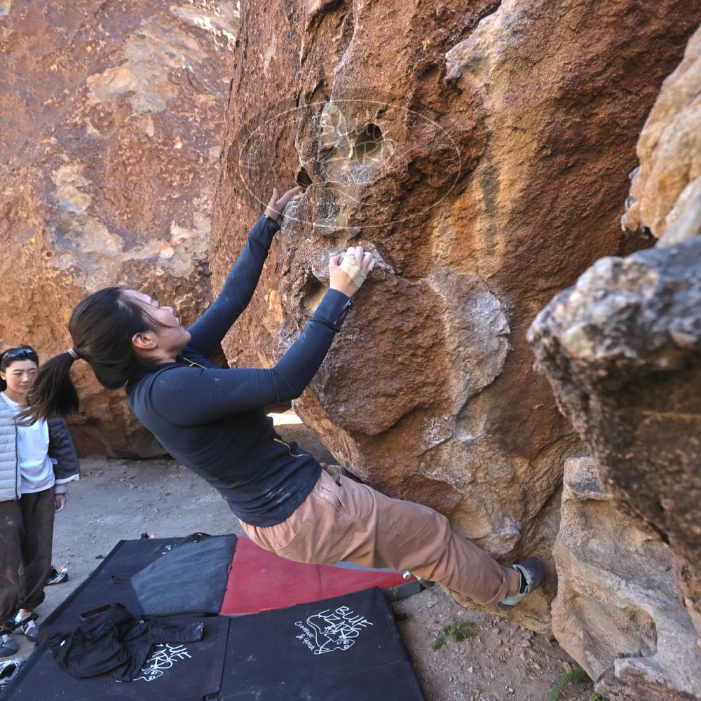 

Filename: SRM_20251109_1410250.jpg
Aperture: f/4.0
Shutter Speed: 1/1250
Body: Canon EOS R6
Lens: Canon EF 16-35mm f/2.8 L