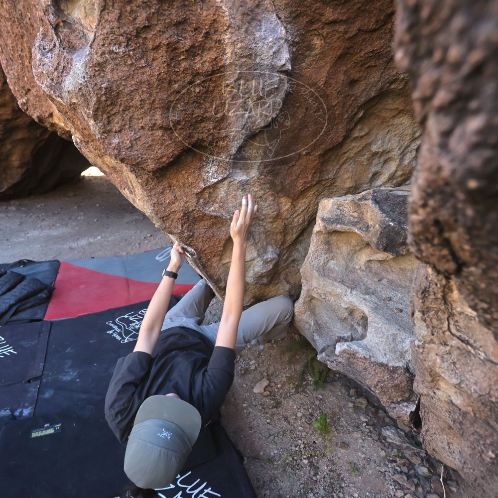 

Filename: SRM_20251109_1414580.jpg
Aperture: f/4.0
Shutter Speed: 1/1250
Body: Canon EOS R6
Lens: Canon EF 16-35mm f/2.8 L