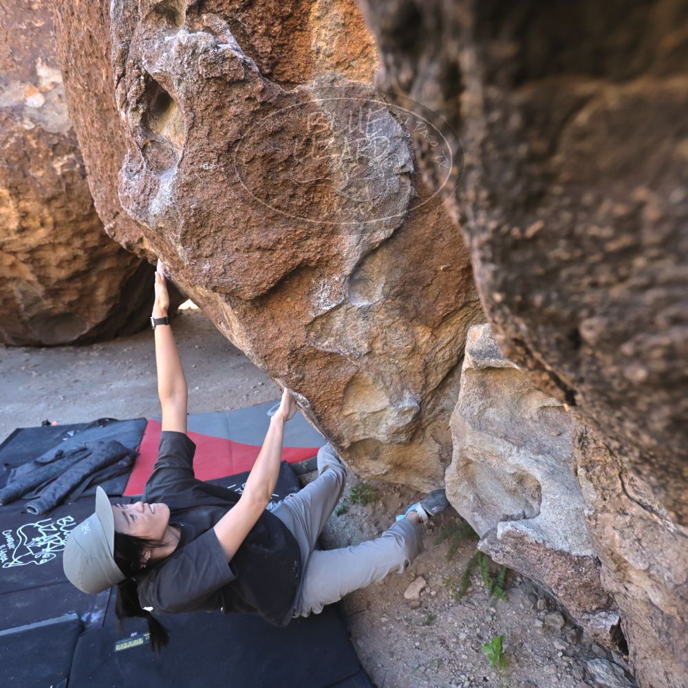 

Filename: SRM_20251109_1418490.jpg
Aperture: f/4.0
Shutter Speed: 1/1250
Body: Canon EOS R6
Lens: Canon EF 16-35mm f/2.8 L