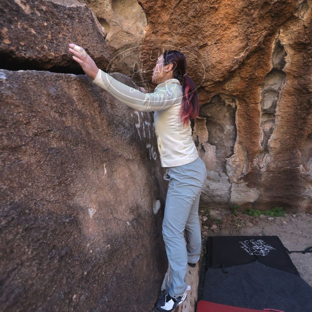 

Filename: SRM_20251109_1422430.jpg
Aperture: f/4.0
Shutter Speed: 1/1250
Body: Canon EOS R6
Lens: Canon EF 16-35mm f/2.8 L