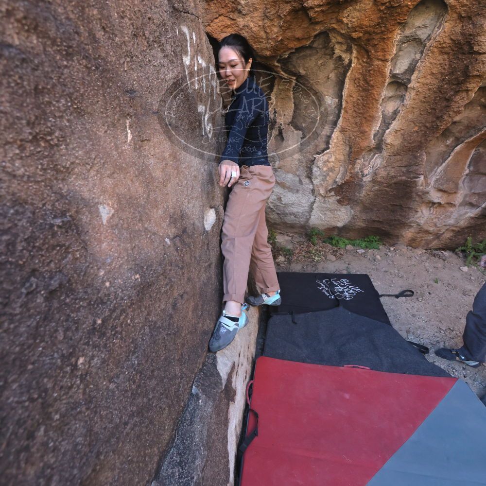 

Filename: SRM_20251109_1423570.jpg
Aperture: f/4.0
Shutter Speed: 1/1250
Body: Canon EOS R6
Lens: Canon EF 16-35mm f/2.8 L