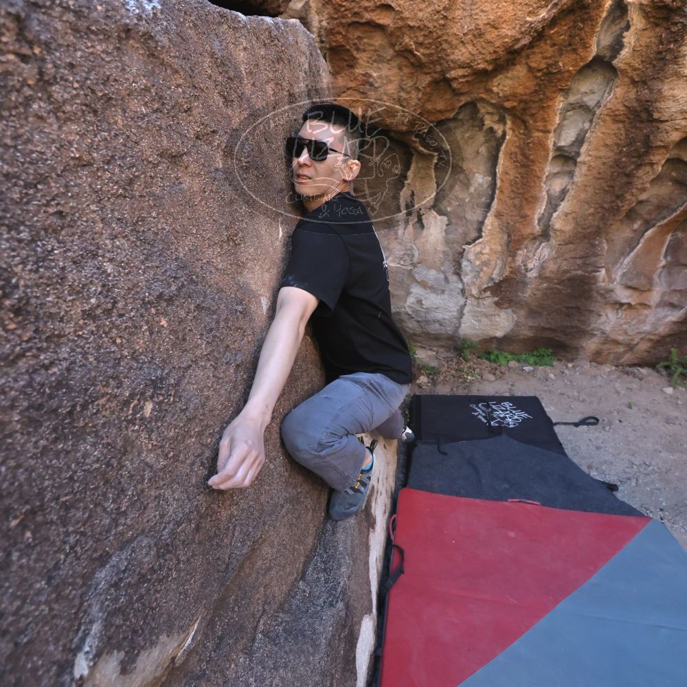 

Filename: SRM_20251109_1425030.jpg
Aperture: f/4.0
Shutter Speed: 1/1250
Body: Canon EOS R6
Lens: Canon EF 16-35mm f/2.8 L