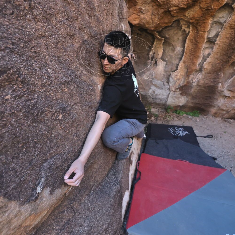 

Filename: SRM_20251109_1425100.jpg
Aperture: f/4.0
Shutter Speed: 1/1250
Body: Canon EOS R6
Lens: Canon EF 16-35mm f/2.8 L