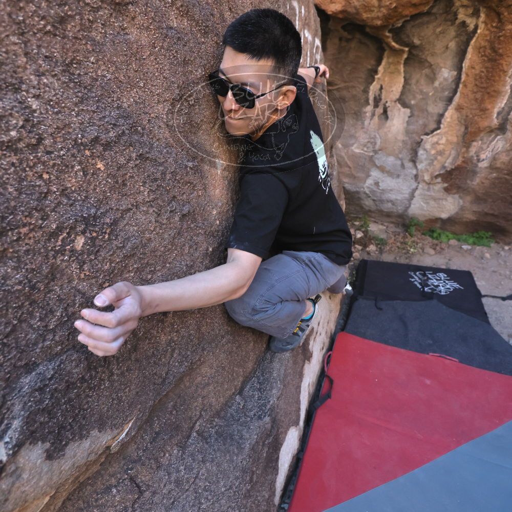 

Filename: SRM_20251109_1425140.jpg
Aperture: f/4.0
Shutter Speed: 1/1250
Body: Canon EOS R6
Lens: Canon EF 16-35mm f/2.8 L