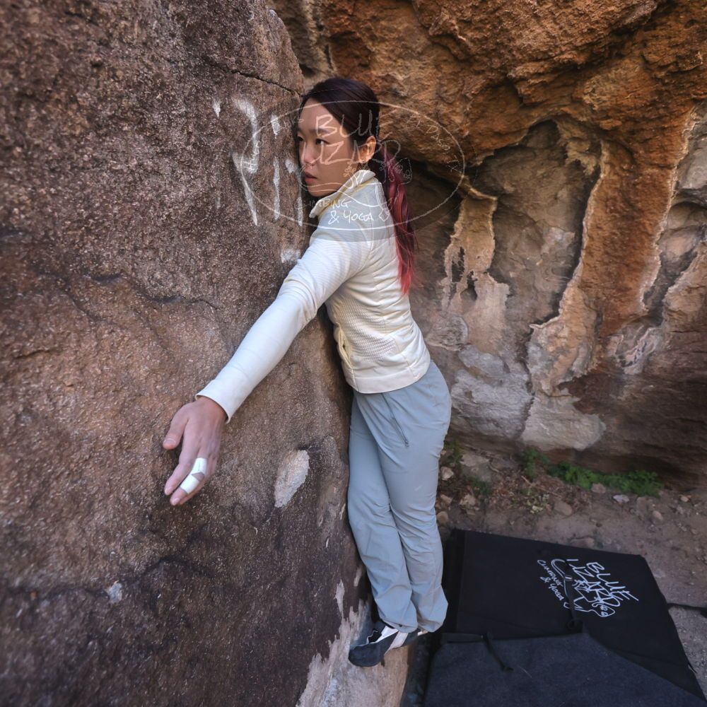 

Filename: SRM_20251109_1426150.jpg
Aperture: f/4.0
Shutter Speed: 1/1250
Body: Canon EOS R6
Lens: Canon EF 16-35mm f/2.8 L